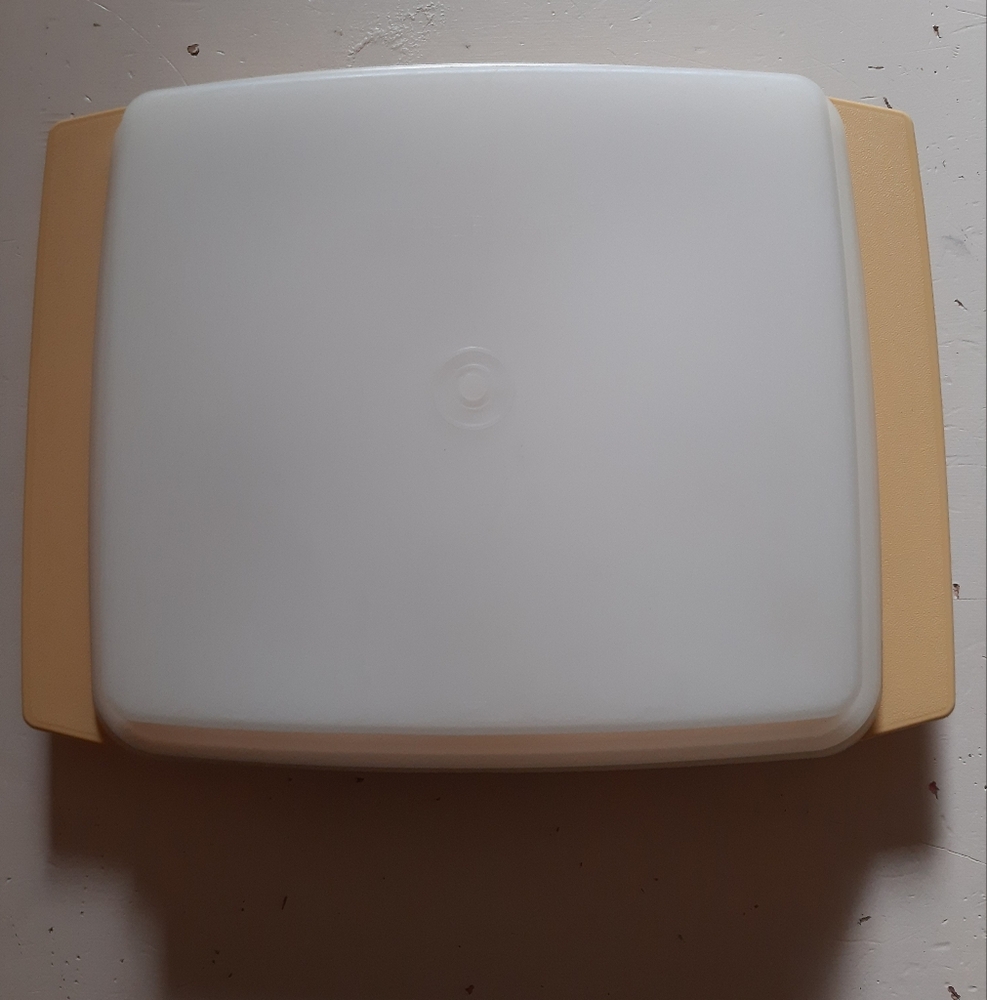 Tupperware White and Yellow Delived Egg Carrier